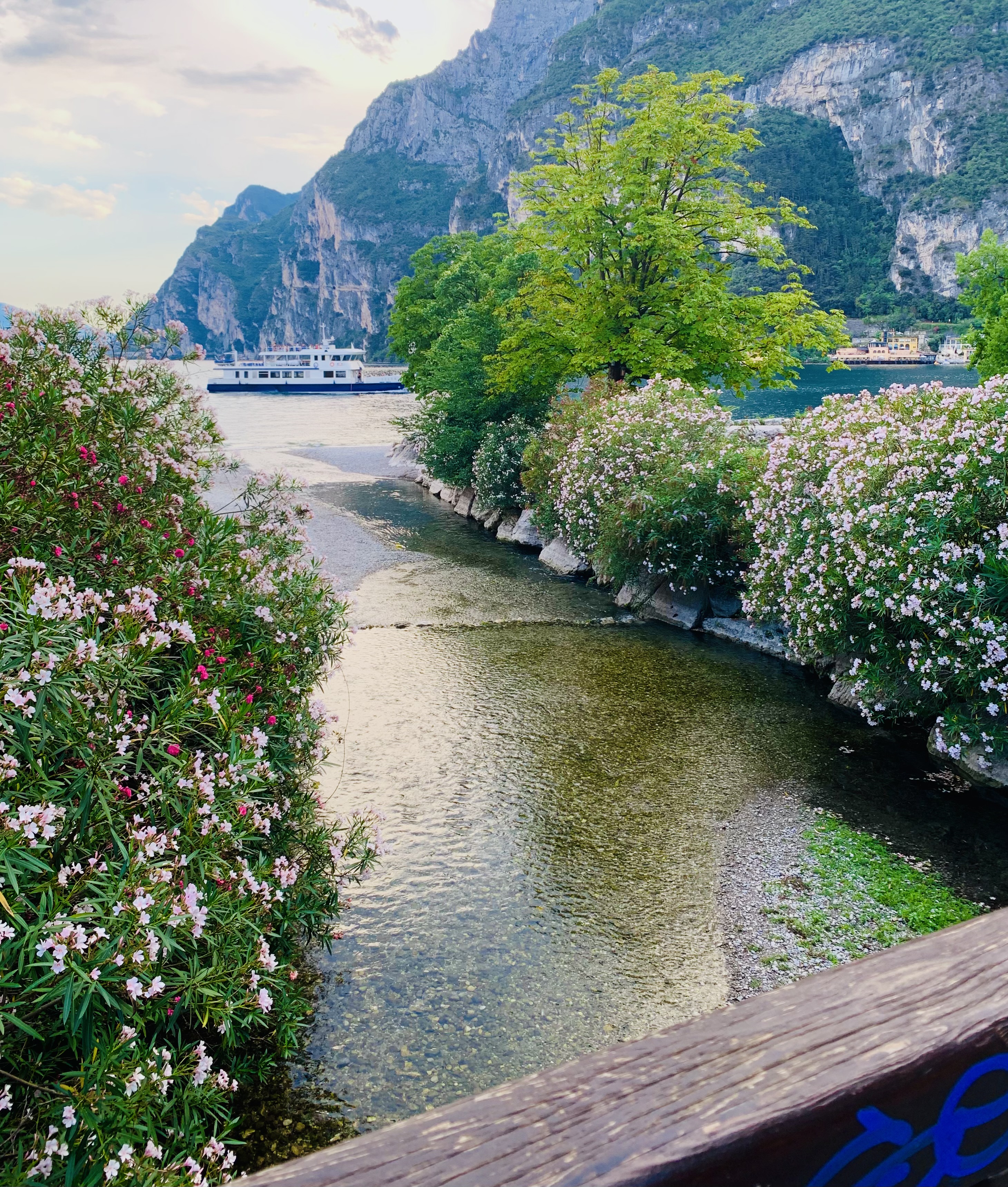 A minute of flowers and Lake Garda