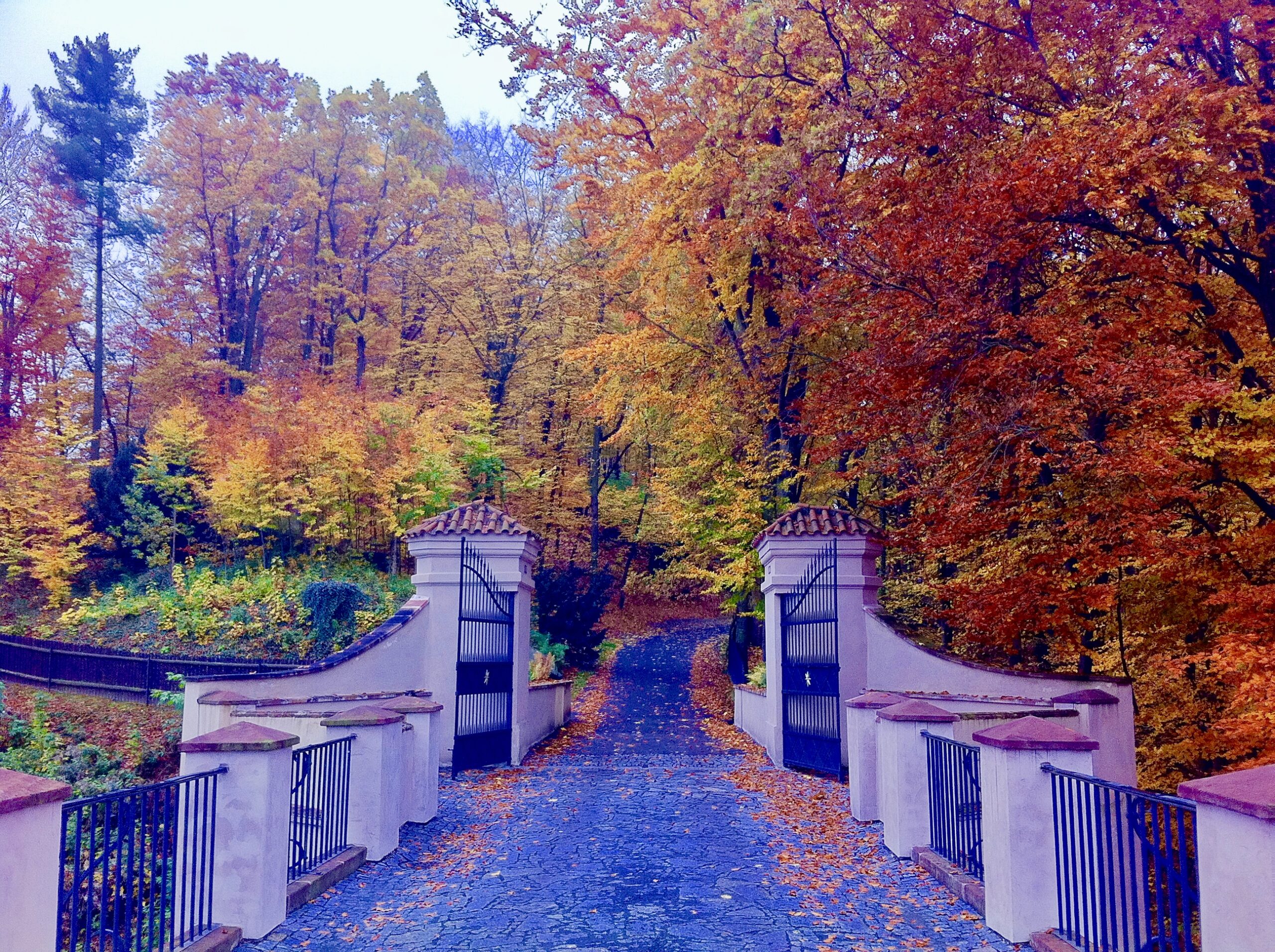 Driving thru Bohemia mid October