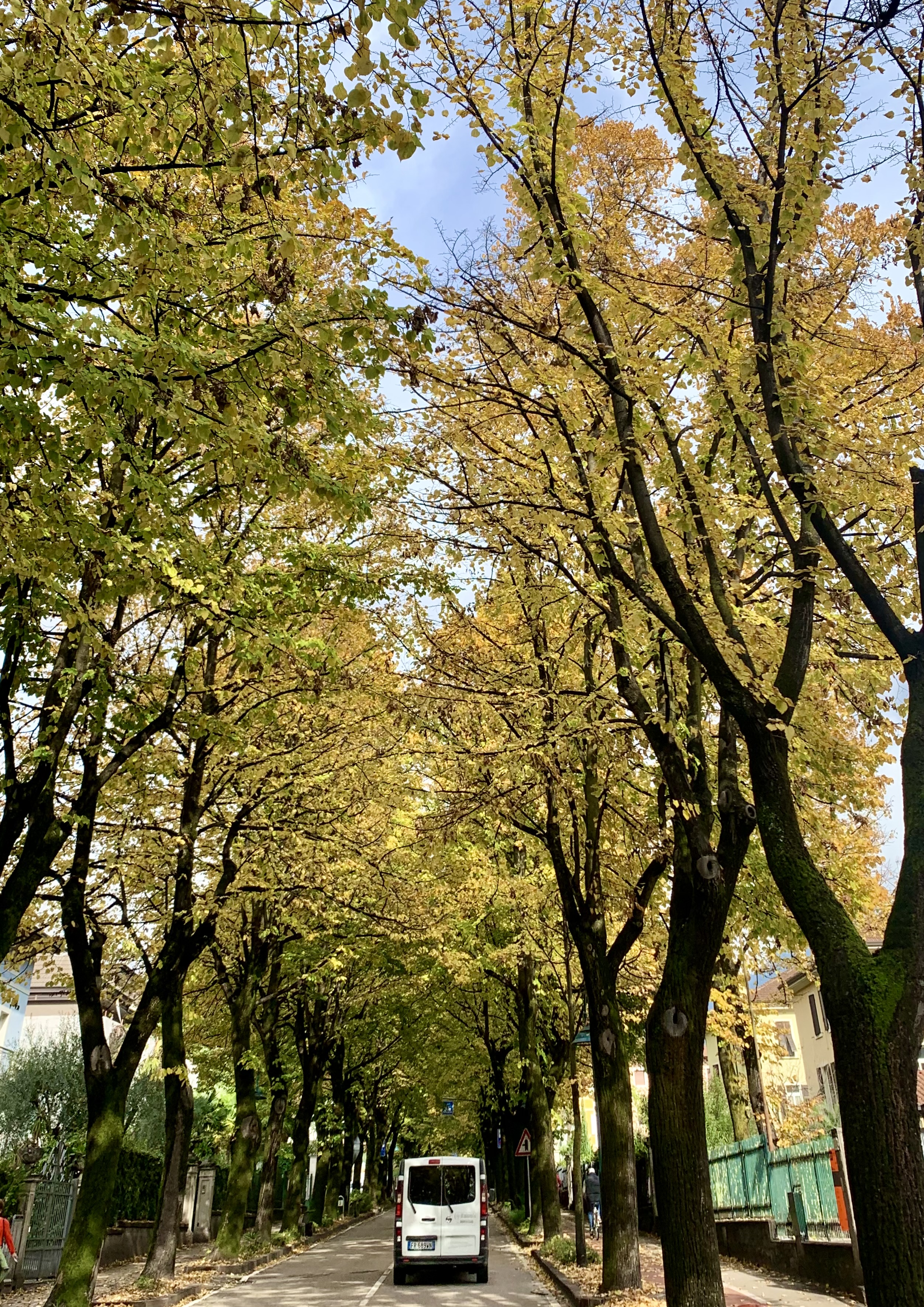 Some say Viale dei Tigli’s the prettiest street in Riva