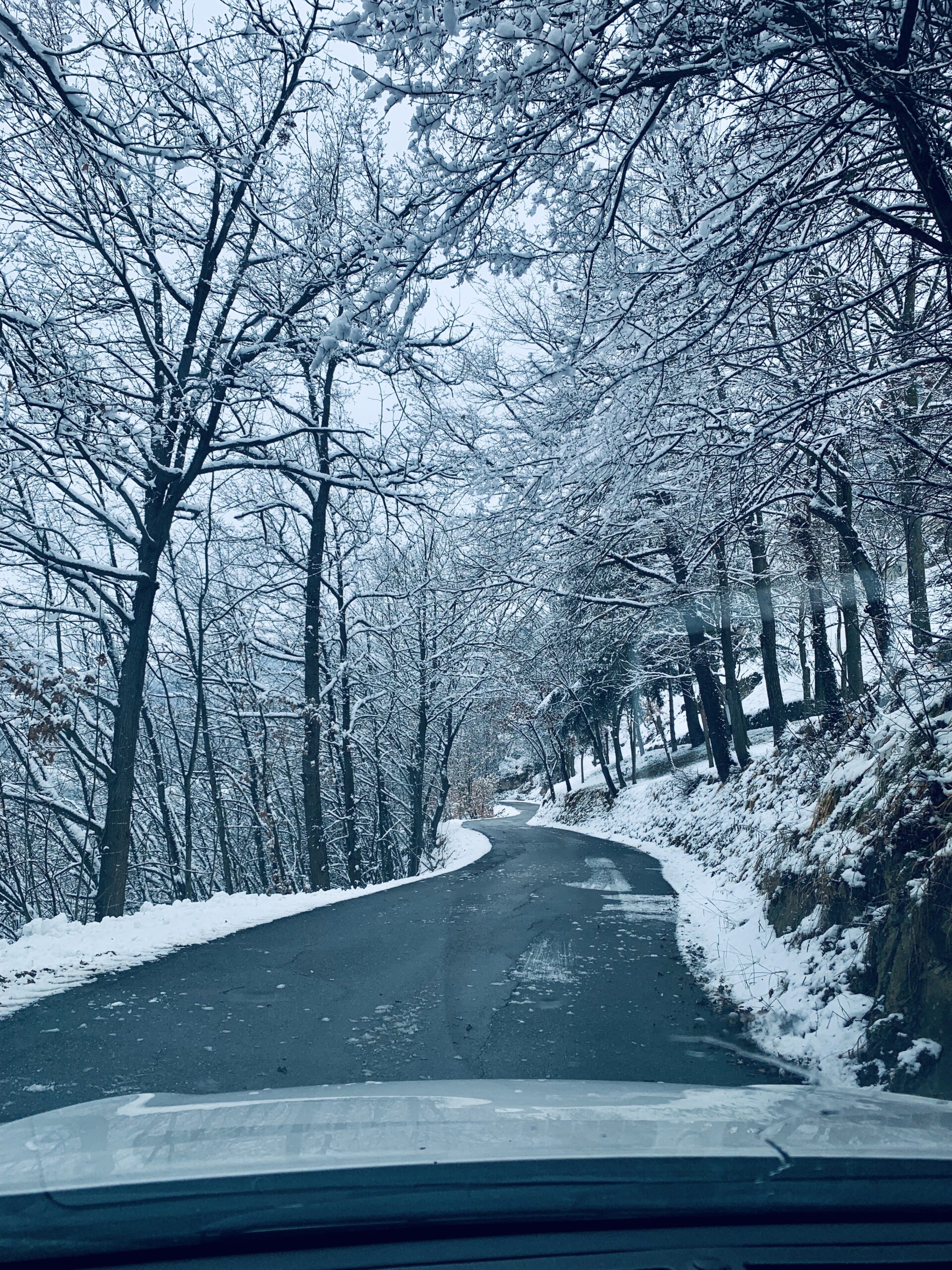 Winter vineyards and quiet environs in Piemonte, Italy